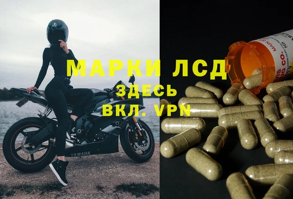 jwh Алзамай
