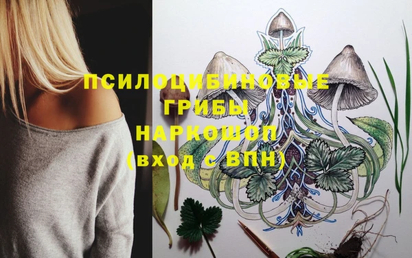 jwh Алзамай